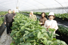 仲の良いグループですね