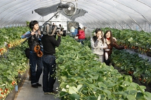 TVクルーとタイのお嬢さん