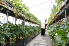 高設はかがまずに食べられるのがメリット