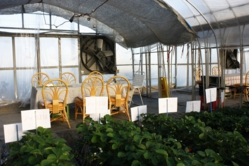 土耕ハウスの休憩テーブル