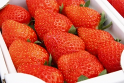 とちおとめを主に販売