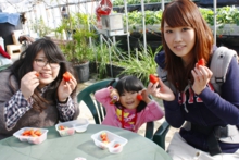 苺を持つとみんなニッコリしますね