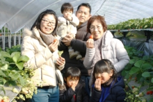 苺狩りでみんなハッピー