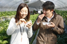 苺狩りは、仲良しをさらに仲良しにします
