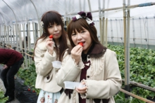 仲の良いお友達、ポーズもシンクロ