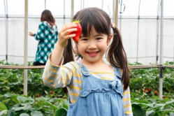 大きいの見つけたよ