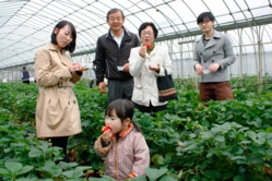 食べるのに夢中ですね