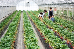 ゆったり楽しめました