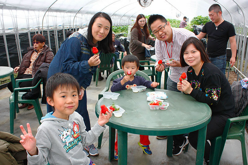 べにほっぺがたくさん出来ています