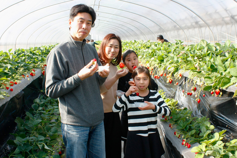 開園直後は良い実がたくさん