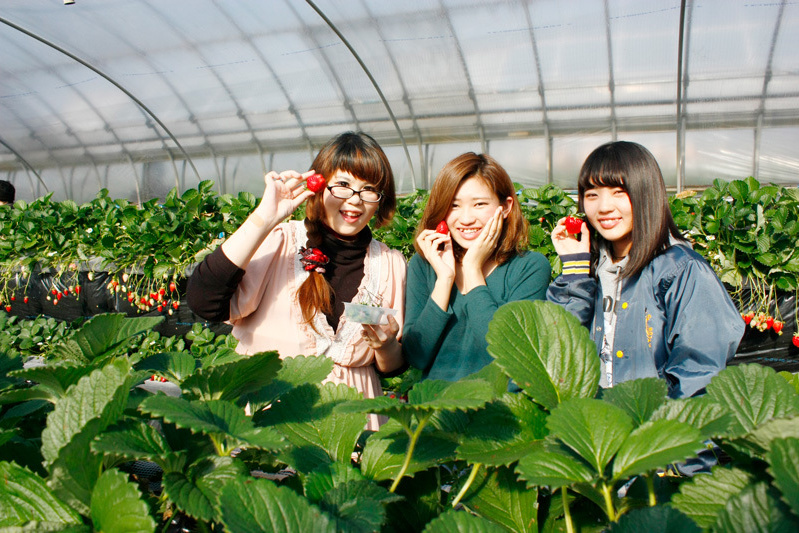 おいしくて笑顔がこぼれますね