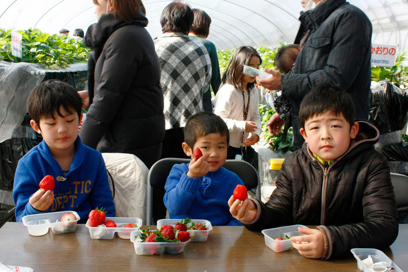 味の違いはわかるかな？