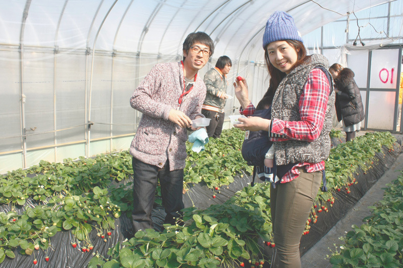 土耕の黒苺はいかがでしたか