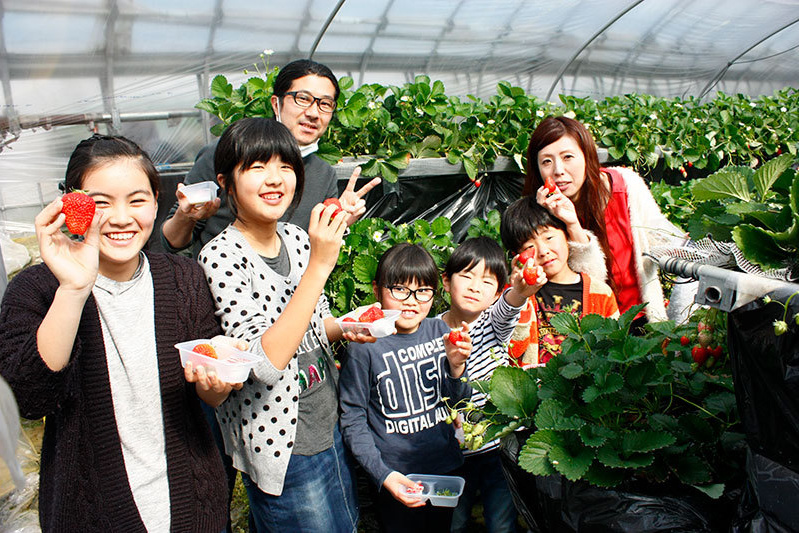 べにほっぺがたくさん出来ています