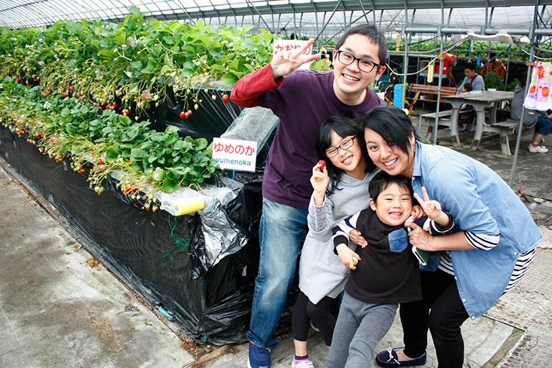 べにほっぺがたくさん出来ています