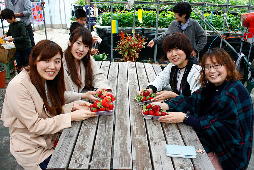 べにほっぺがたくさん出来ています