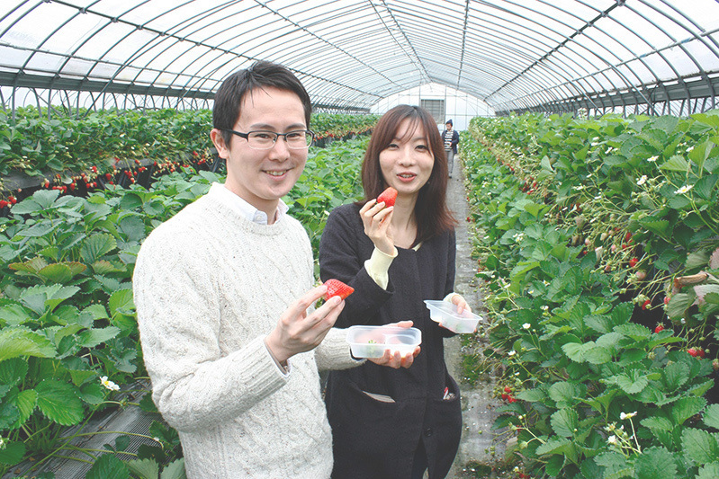 べにほっぺがたくさん出来ています