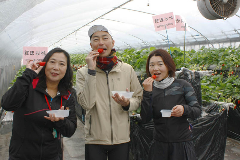 恋みのりの色は朱色っぽい感じ