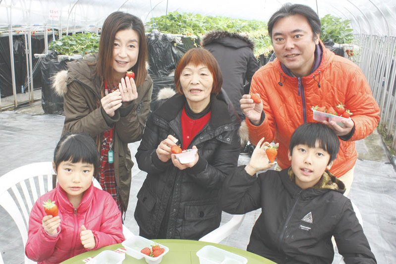 新種の恋みのり