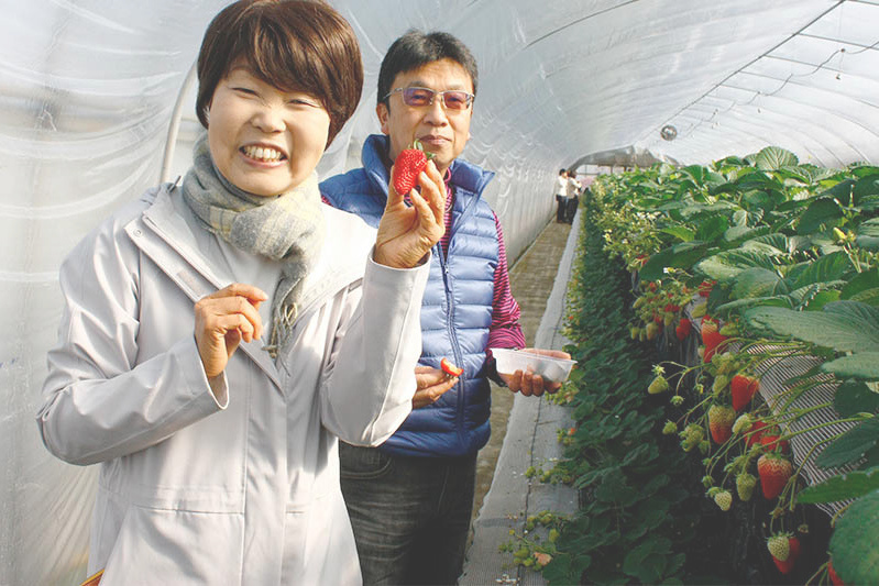 勧められてご来園だそうです