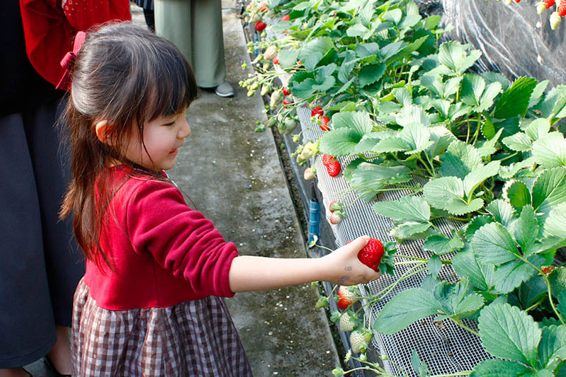 自分でできるかな？