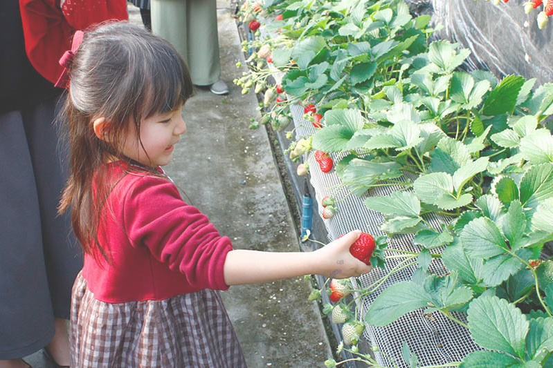 自分でできるかな？