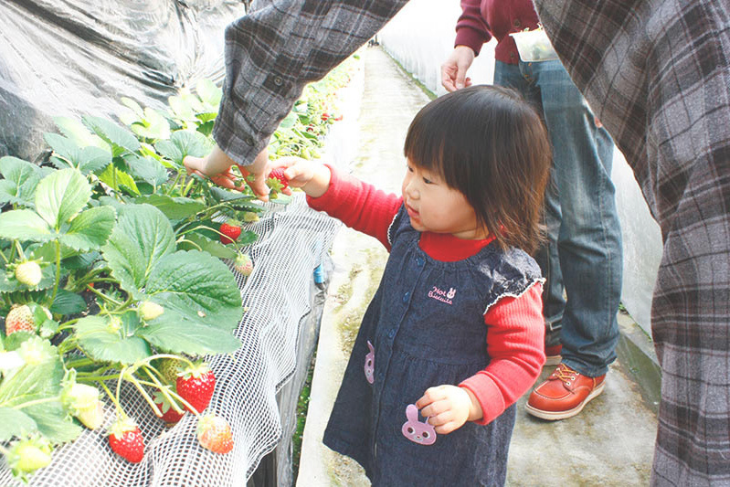 自分で摘んでみたいんだね