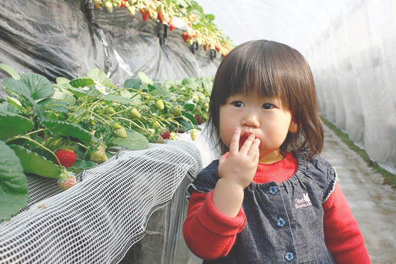 お口の周り真っ赤で可愛いね