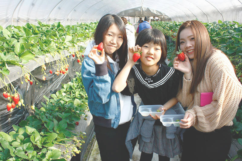 可愛いポーズありがとう