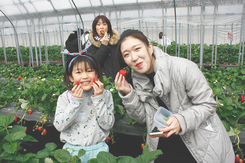 立派な王冠の黒苺