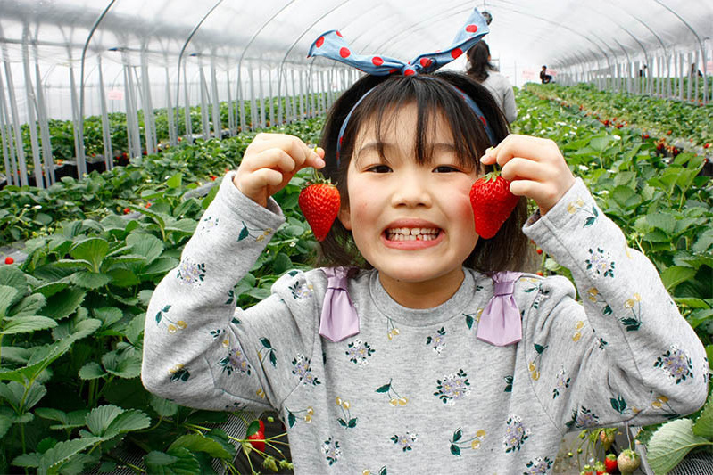 チーバベリーも有りますよ