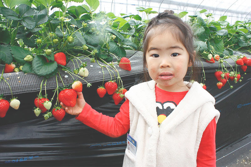 恋みのりは朱色で完熟