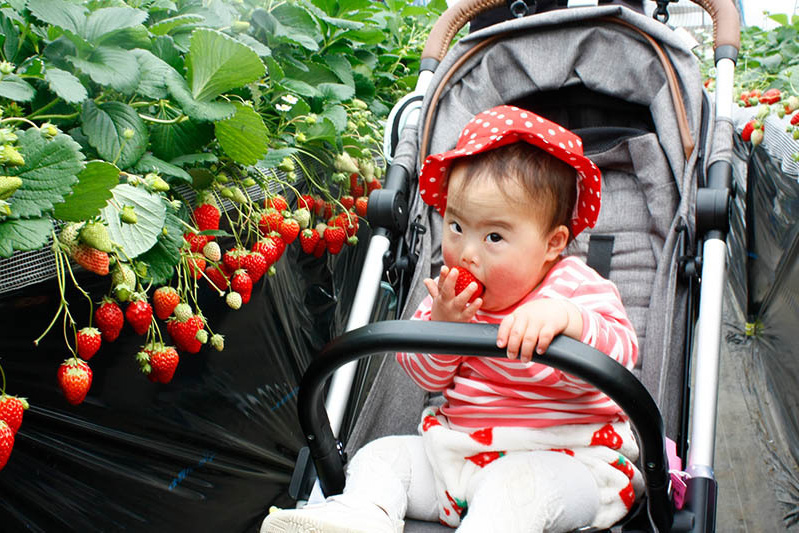 どの苺が美味しいかな〜