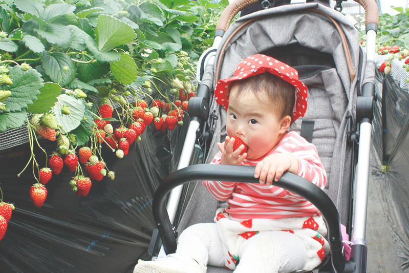 どの苺が美味しいかな〜