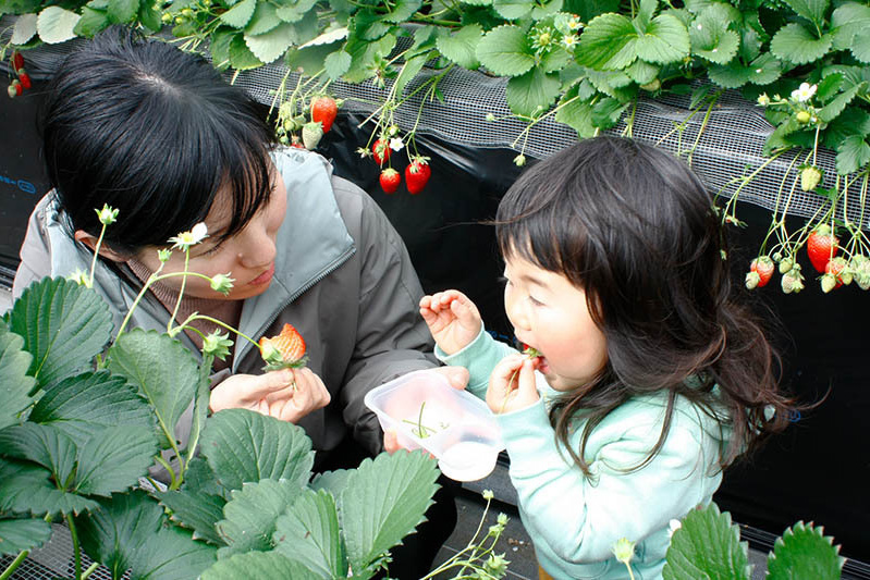 沢山食べてね〜