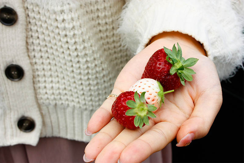 可愛いポーズありがとう