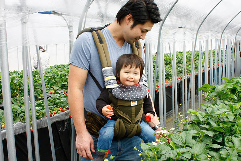 立派なべにほっぺも沢山
