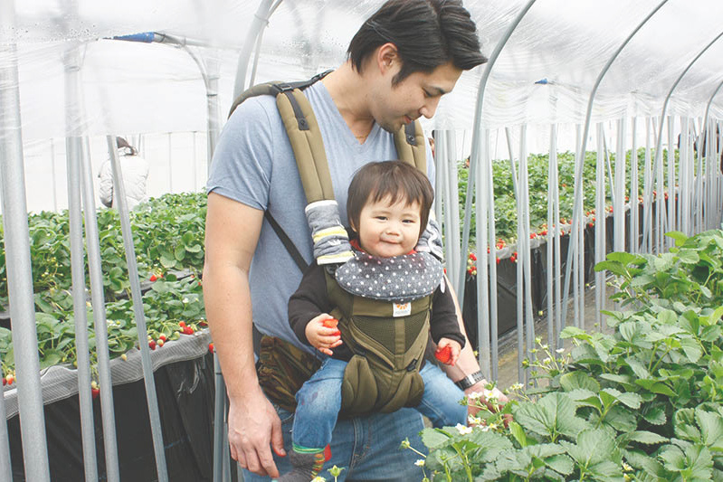 立派なべにほっぺも沢山