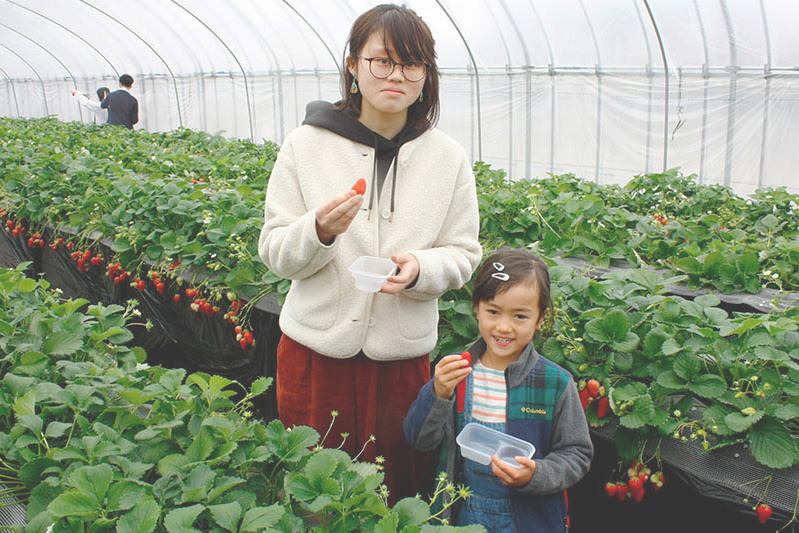 可愛いポーズありがとう