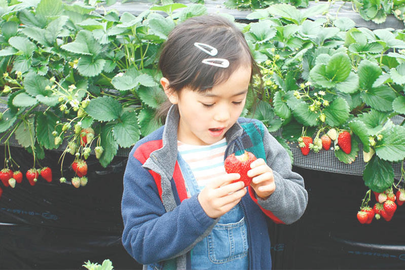 可愛いポーズありがとう