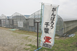 がんばろう千葉！当園も頑張っています