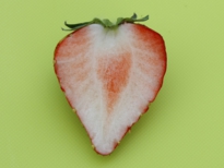 fusanoka_20120425_7143.jpg