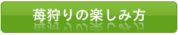 苺狩りの楽しみ方