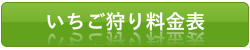 いちご狩り料金表