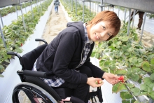 ご来園いただいたお客様