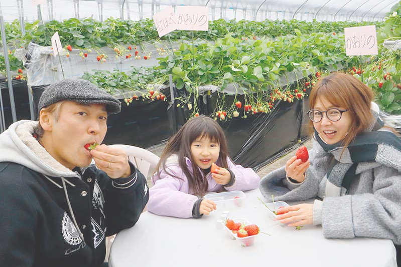 テーブルでいろんな品種を食べ比べ