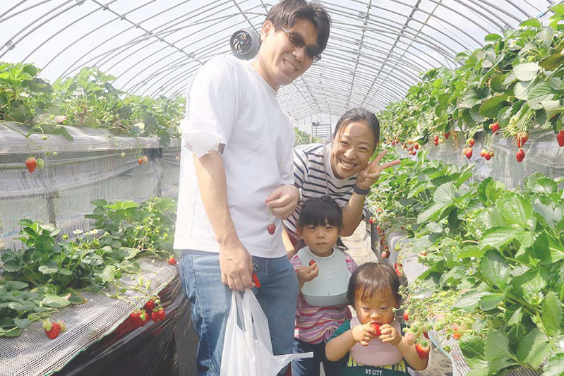美味しい苺に囲まれて楽しいね