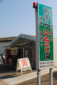 国道126号線ストロベリーロード沿いの売店