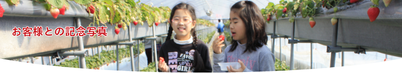 いちご狩り料金表