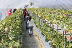 また来年も来てくださいね